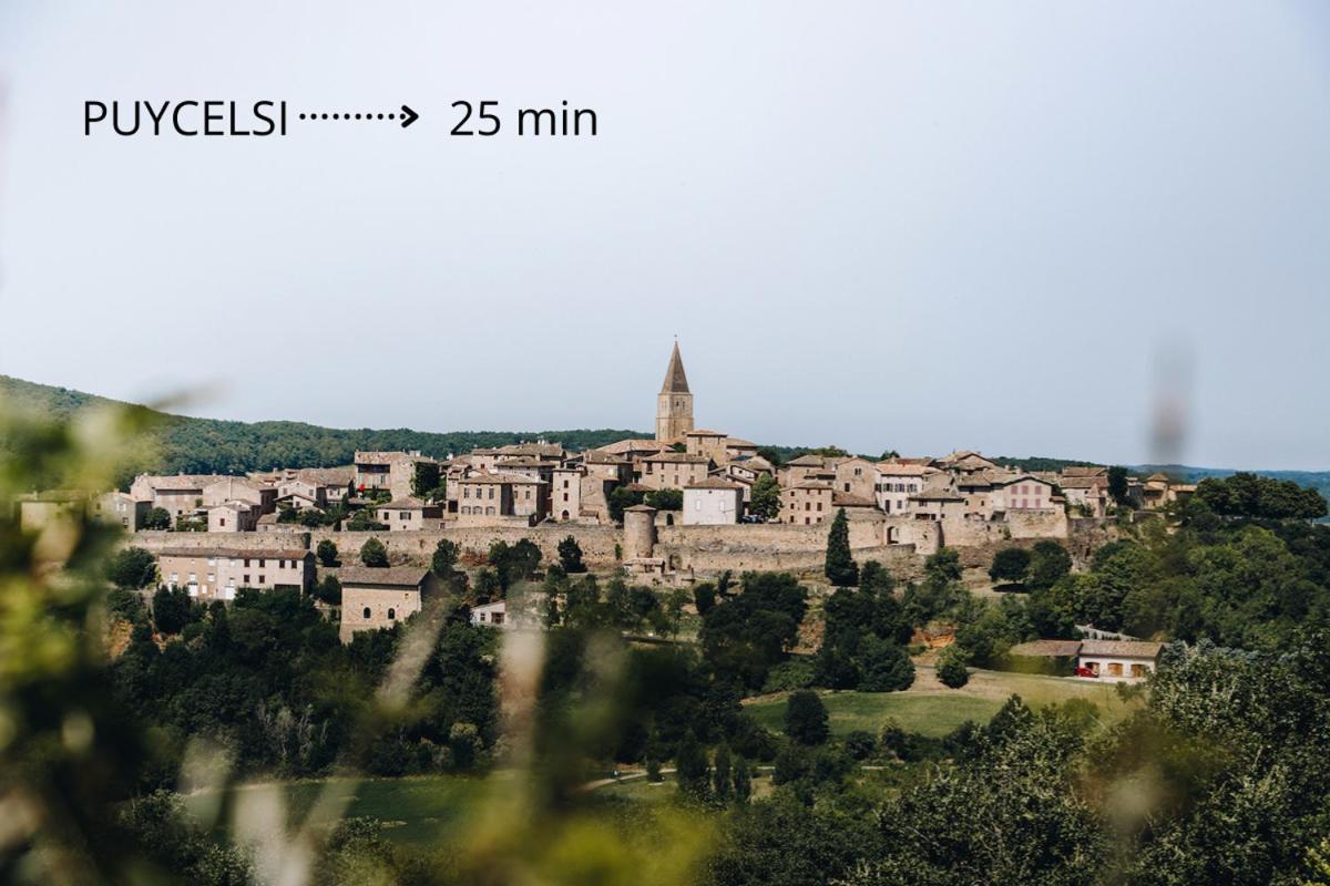 Jolie Maison - Calme - Jardin - Gaillac Εξωτερικό φωτογραφία