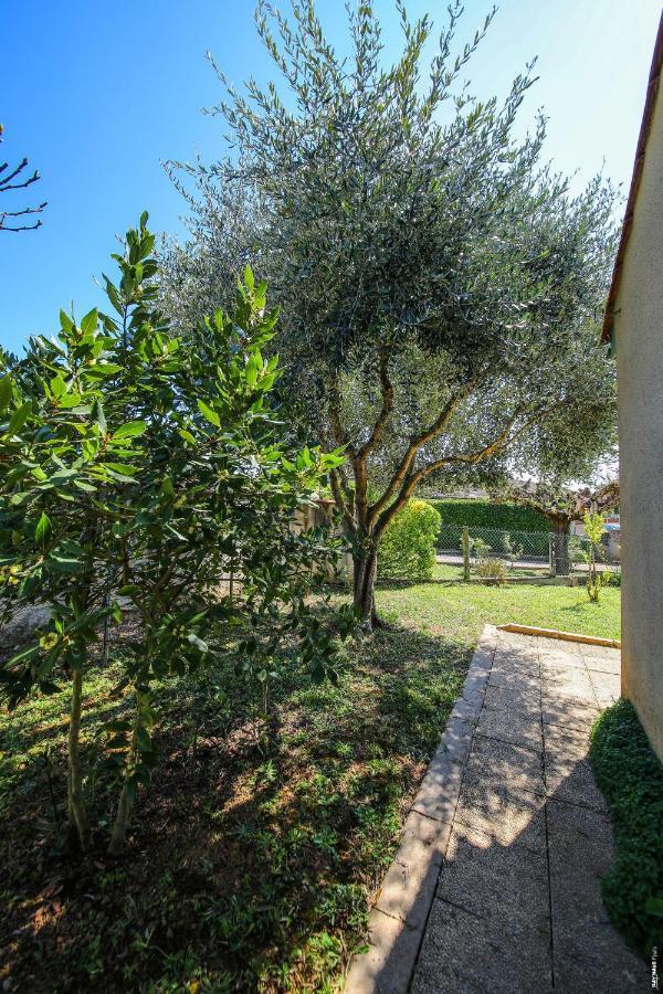 Jolie Maison - Calme - Jardin - Gaillac Εξωτερικό φωτογραφία