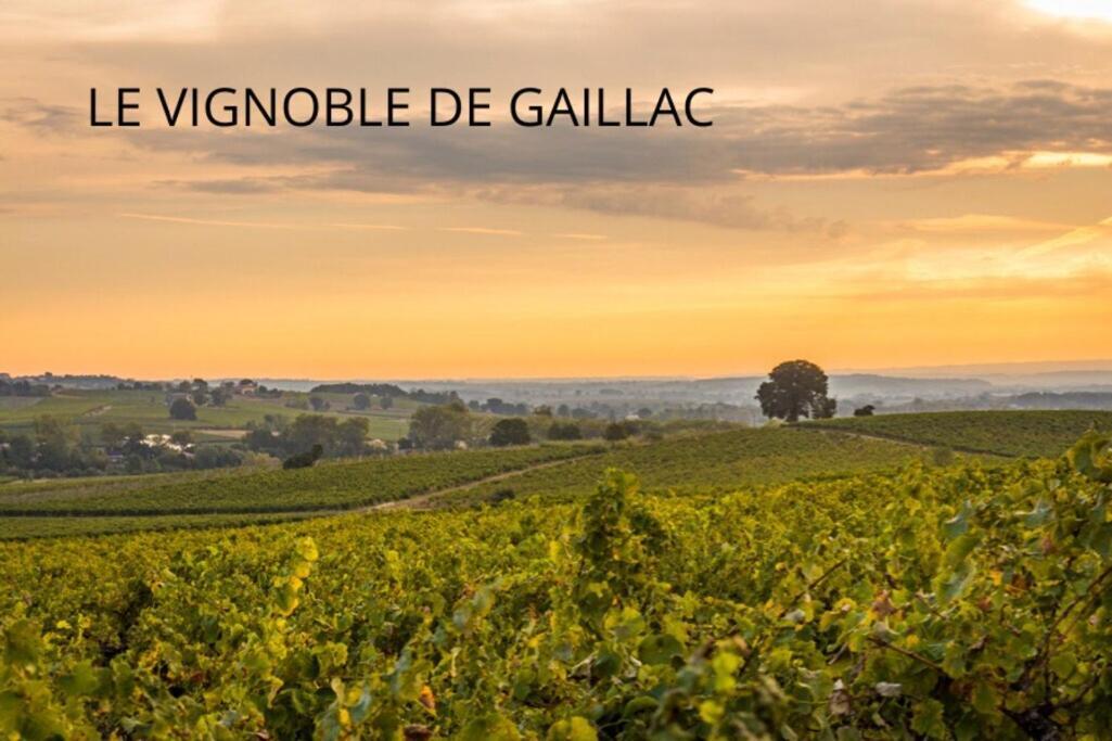 Jolie Maison - Calme - Jardin - Gaillac Εξωτερικό φωτογραφία